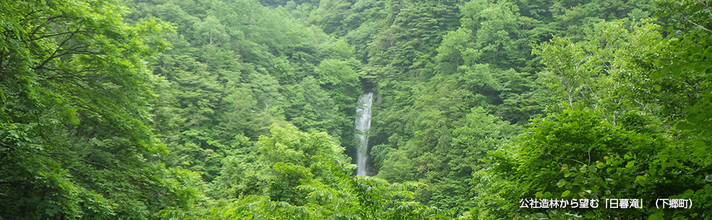公社造林から望む「日暮滝」（下郷町）2014.6.18